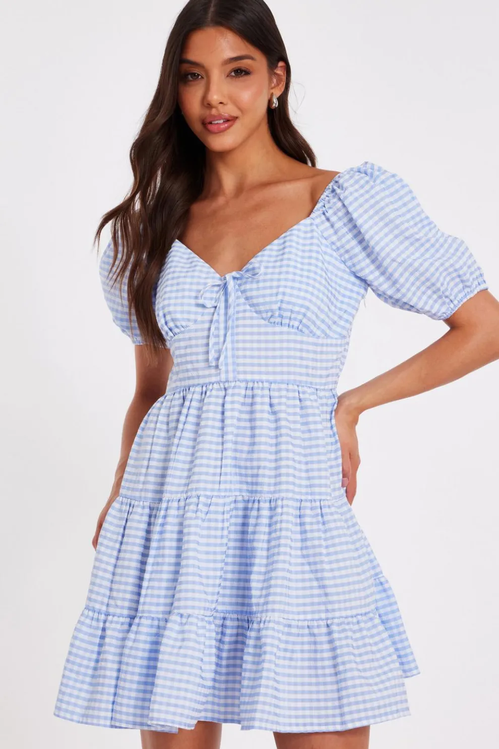 Blue Gingham Puff Sleeve Dress