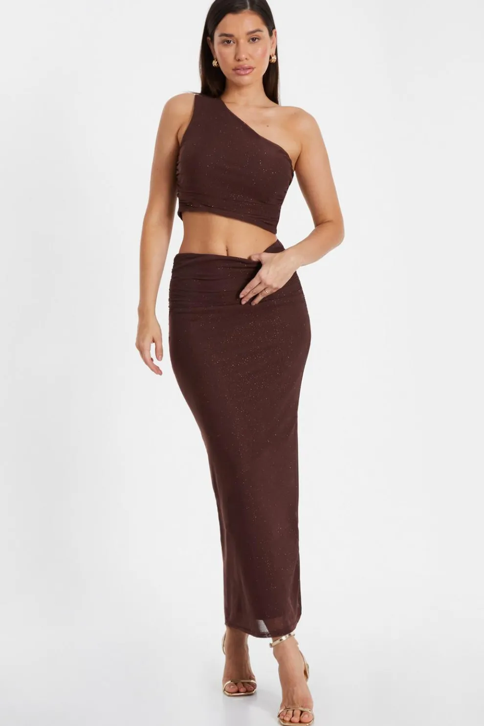 Brown Glitter Mesh Midaxi Skirt