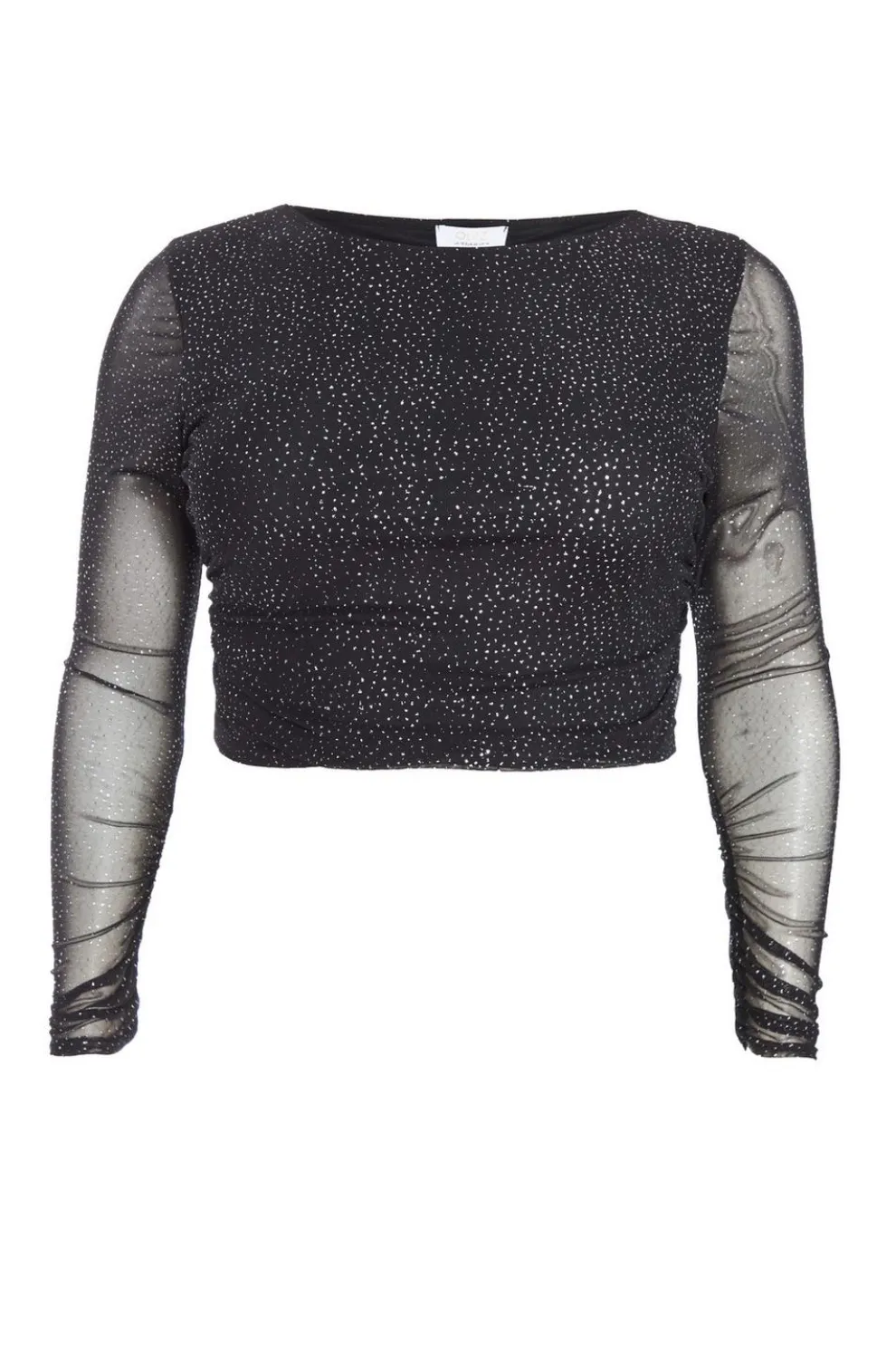 Curve Black Glitter Mesh Long Sleeve Top