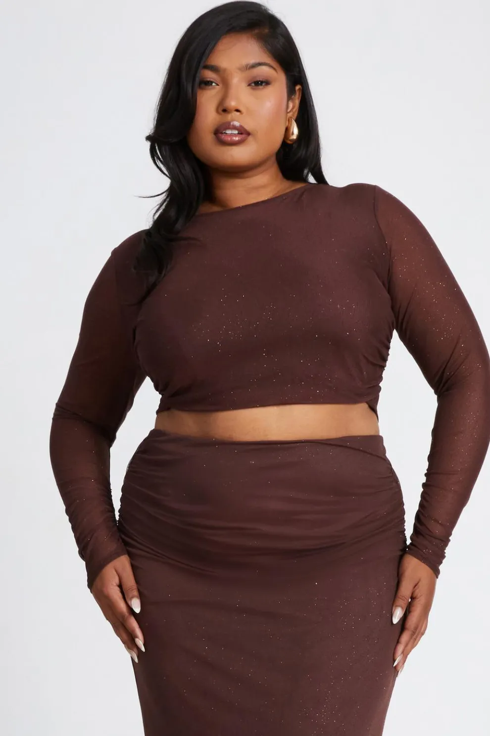 Curve Brown Glitter Mesh Long Sleeve Top