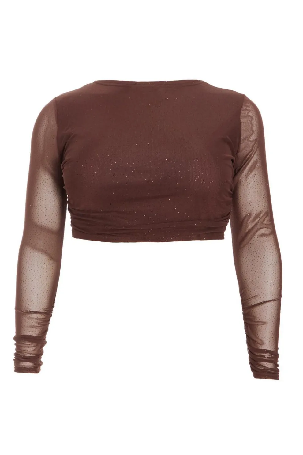 Curve Brown Glitter Mesh Long Sleeve Top