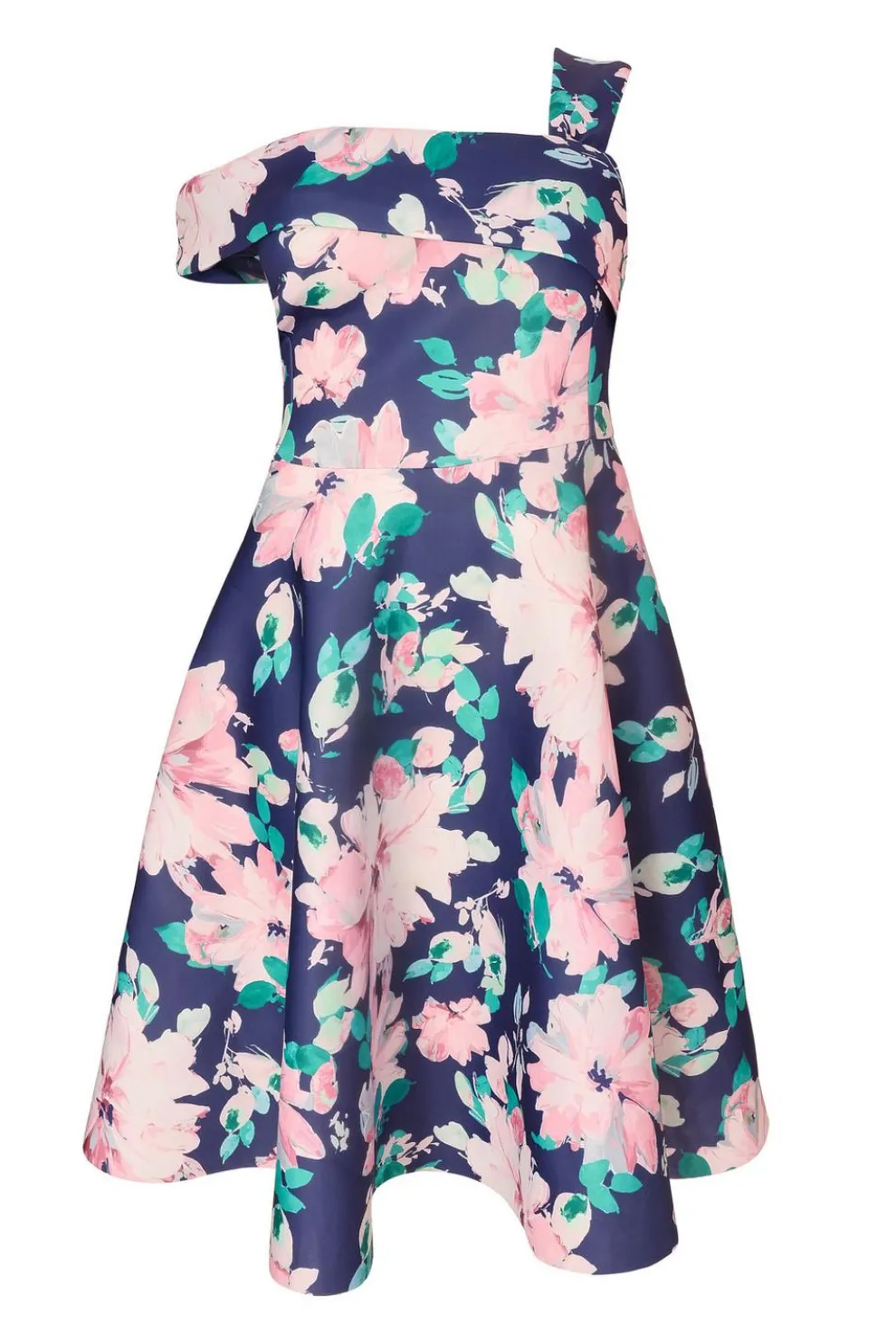 Curve Navy Floral Print Skater Dress