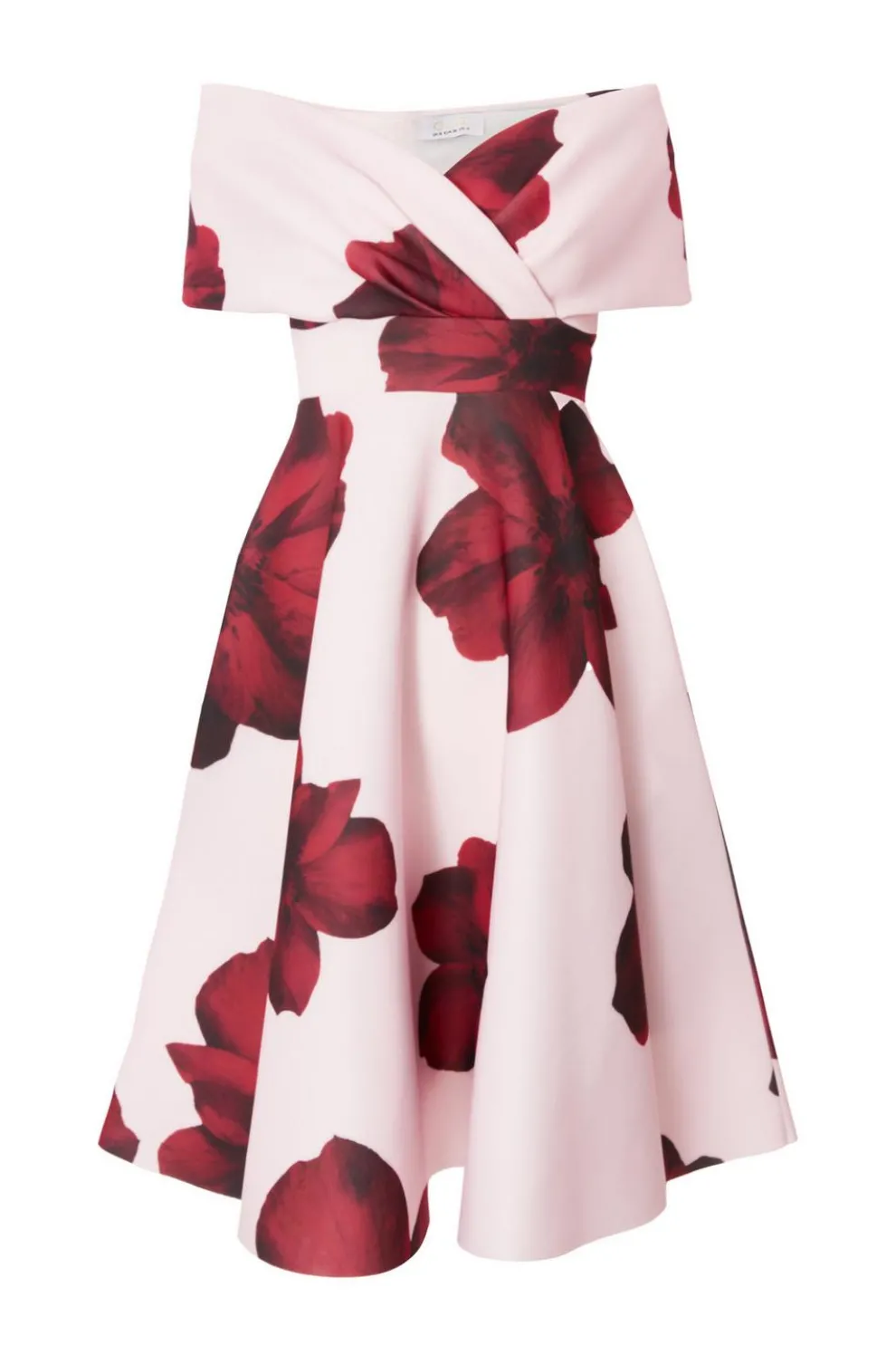 Petite Blush Bardot Floral Skater Dress