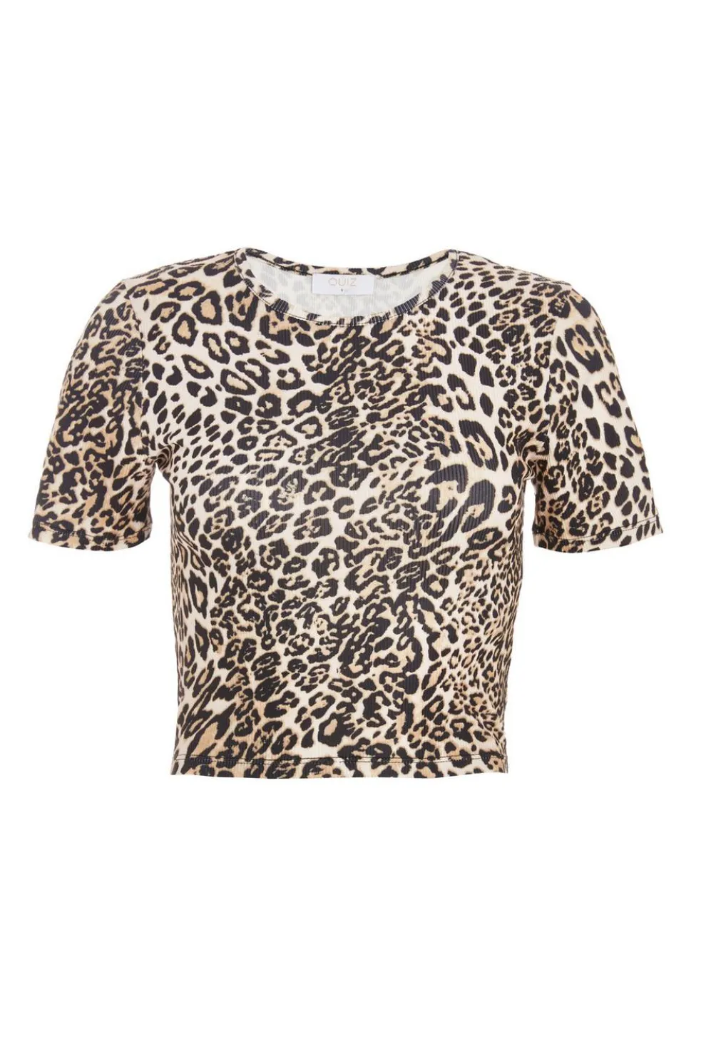 Stone Leopard Print Cropped T-shirt